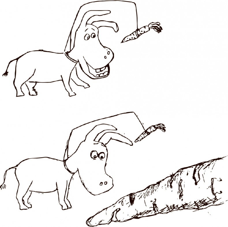 Иллюстрация к книге — Кто бы мог подумать! Как мозг заставляет нас делать глупости [i_021.jpg]