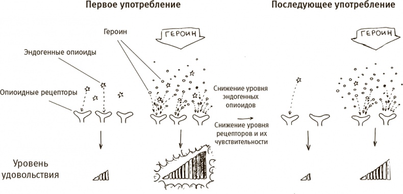 Иллюстрация к книге — Кто бы мог подумать! Как мозг заставляет нас делать глупости [i_022.jpg]