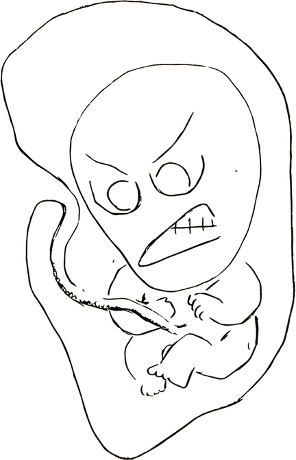 Иллюстрация к книге — Кто бы мог подумать! Как мозг заставляет нас делать глупости [i_025.jpg]