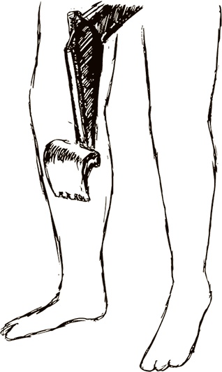 Иллюстрация к книге — Кто бы мог подумать! Как мозг заставляет нас делать глупости [i_033.jpg]