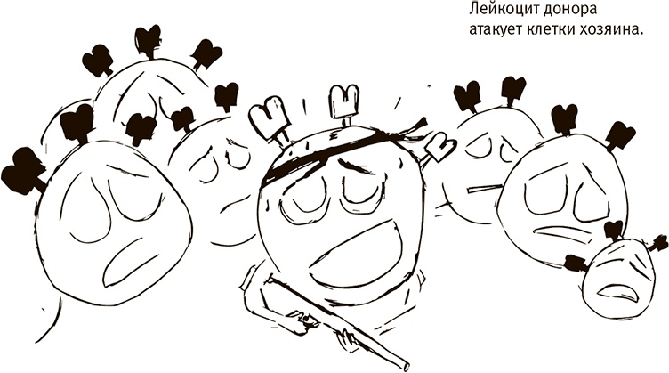 Иллюстрация к книге — Кто бы мог подумать! Как мозг заставляет нас делать глупости [i_040.jpg]