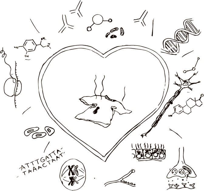 Иллюстрация к книге — Кто бы мог подумать! Как мозг заставляет нас делать глупости [i_042.jpg]