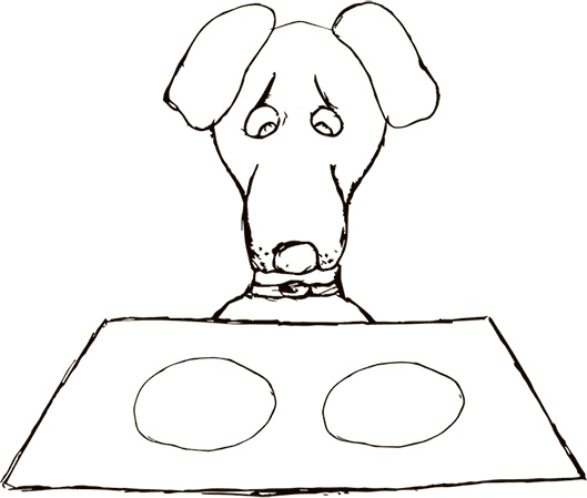 Иллюстрация к книге — Кто бы мог подумать! Как мозг заставляет нас делать глупости [i_055.jpg]