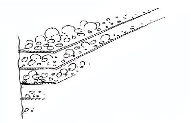 Иллюстрация к книге — Открытое подсознание. Как влиять на себя и других. Легкий путь к позитивным изменениям [image3.jpg]