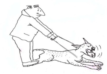 Иллюстрация к книге — Открытое подсознание. Как влиять на себя и других. Легкий путь к позитивным изменениям [image40.jpg]