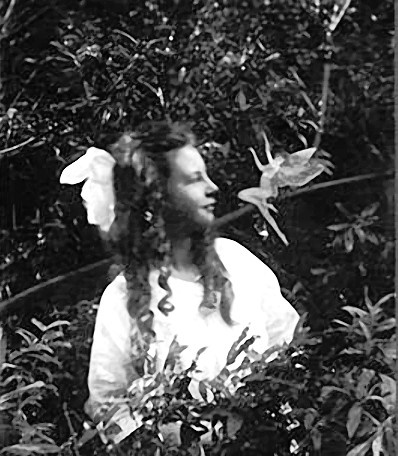 Иллюстрация к книге — Выдающийся ум. Мыслить как Шерлок Холмс [doc2fb_image_0200000B.jpg]