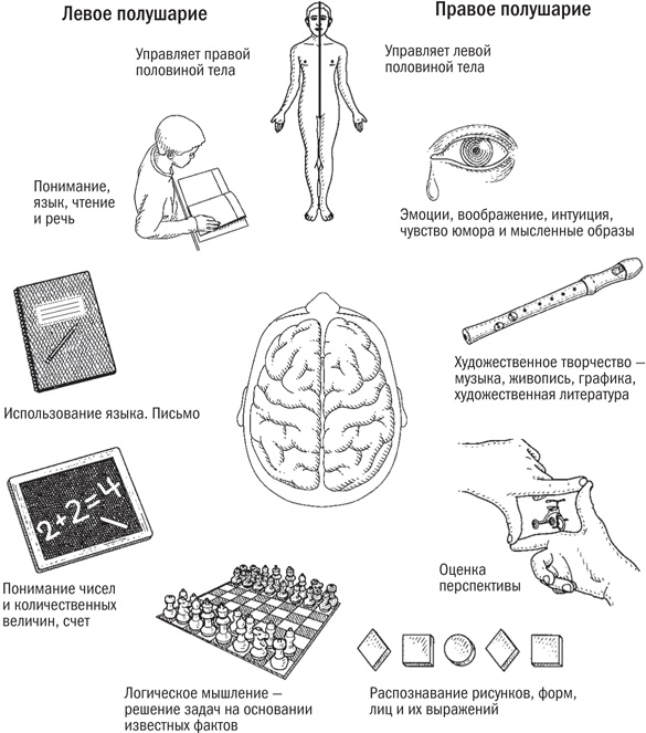 Иллюстрация к книге — Мой ребенок - интроверт. Как выявить скрытые таланты и подготовить к жизни в обществе [i_005.jpg]