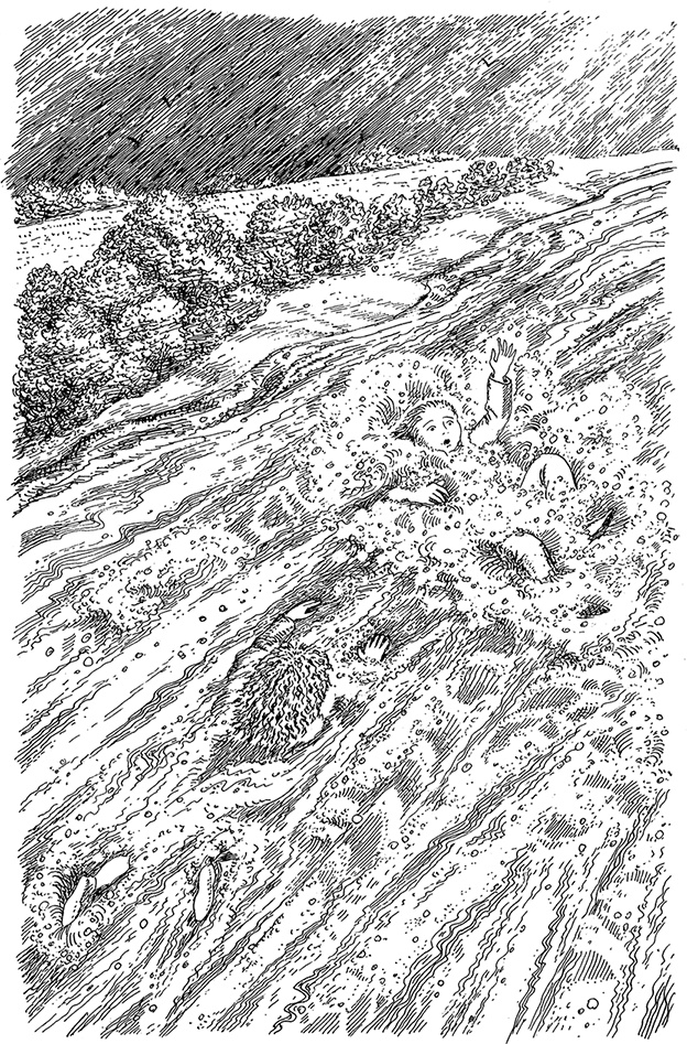 Иллюстрация к книге — Квартет Дейлмарка. Книга 3. Вниз по великой реке [i_015.jpg]