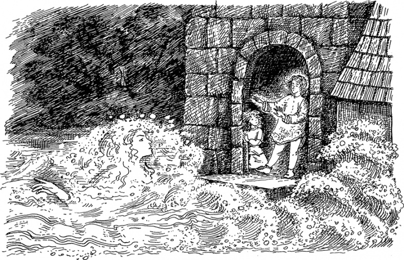 Иллюстрация к книге — Квартет Дейлмарка. Книга 3. Вниз по великой реке [i_028.jpg]