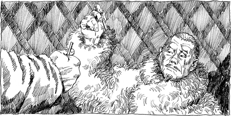 Иллюстрация к книге — Бох и Шельма [i_006.jpg]