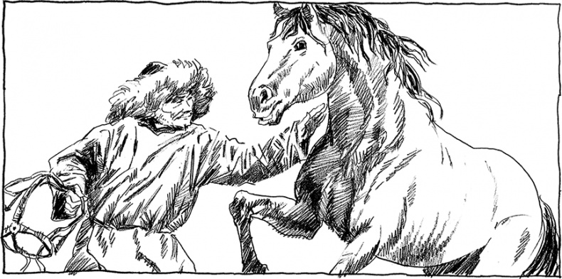 Иллюстрация к книге — Бох и Шельма [i_023.jpg]