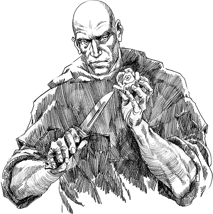 Иллюстрация к книге — Бох и Шельма [i_049.jpg]