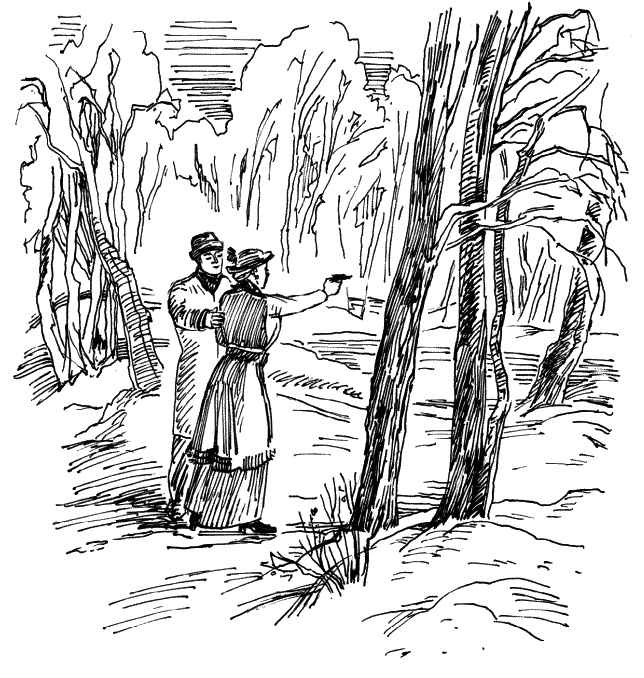 Иллюстрация к книге — Супостат [_442.jpg]