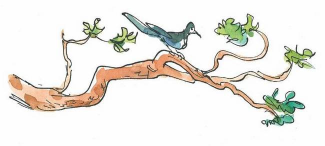 Иллюстрация к книге — Маленький подарок Антона [i_032.jpg]