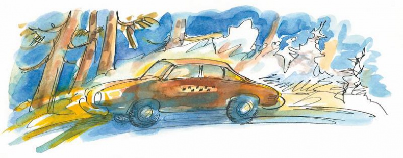 Иллюстрация к книге — Маленький подарок Антона [i_065.jpg]