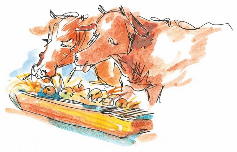 Иллюстрация к книге — Маленький подарок Антона [i_089.jpg]