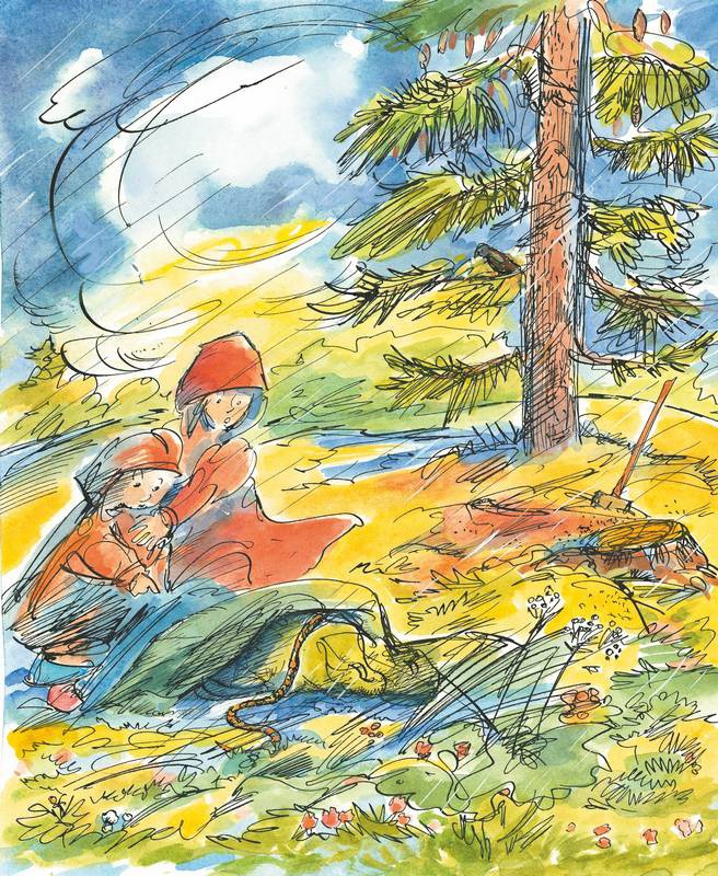 Иллюстрация к книге — Маленький подарок Антона [i_143.jpg]