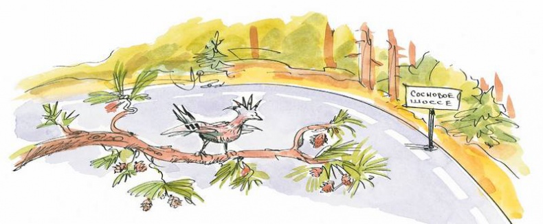 Иллюстрация к книге — Маленький подарок Антона [i_153.jpg]