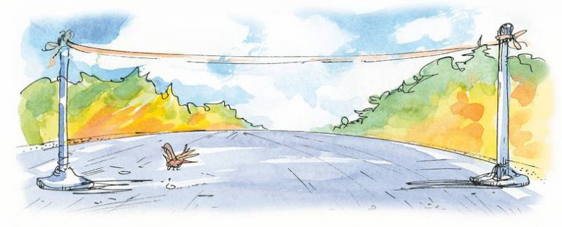 Иллюстрация к книге — Маленький подарок Антона [i_156.jpg]