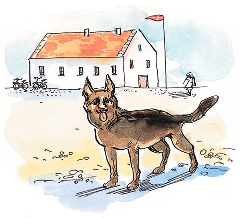 Иллюстрация к книге — Папа, мама, бабушка и восемь детей в Дании [Autogen_eBook_id11.jpg]