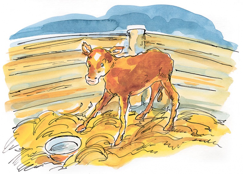 Иллюстрация к книге — Папа, мама, бабушка и восемь детей в Дании [Autogen_eBook_id49.jpg]