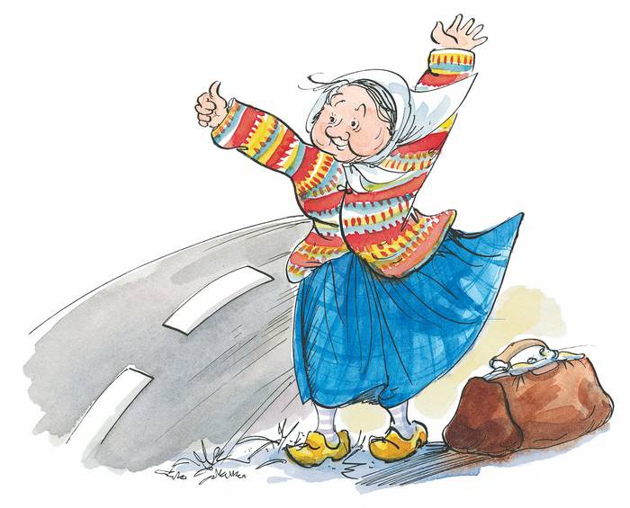 Иллюстрация к книге — Папа, мама, бабушка, восемь детей и грузовик [i_028.jpg]