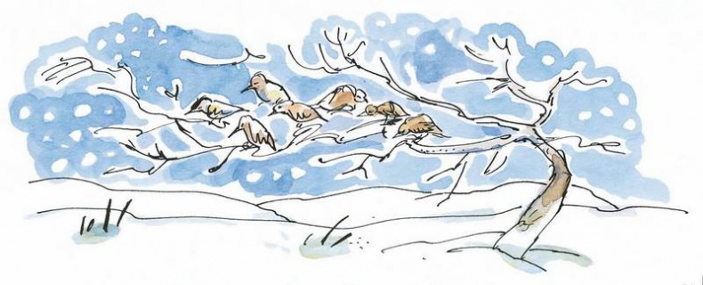 Иллюстрация к книге — Папа, мама, бабушка, восемь детей и грузовик [i_054.jpg]