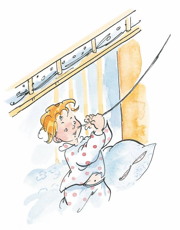 Иллюстрация к книге — Папа, мама, бабушка, восемь детей и грузовик [i_063.jpg]