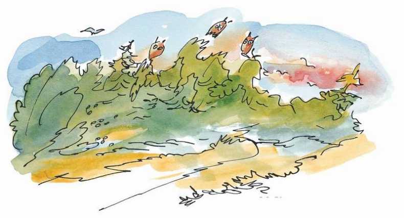 Иллюстрация к книге — Папа, мама, бабушка, восемь детей и грузовик [i_065.jpg]