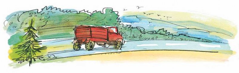 Иллюстрация к книге — Папа, мама, бабушка, восемь детей и грузовик [i_097.jpg]