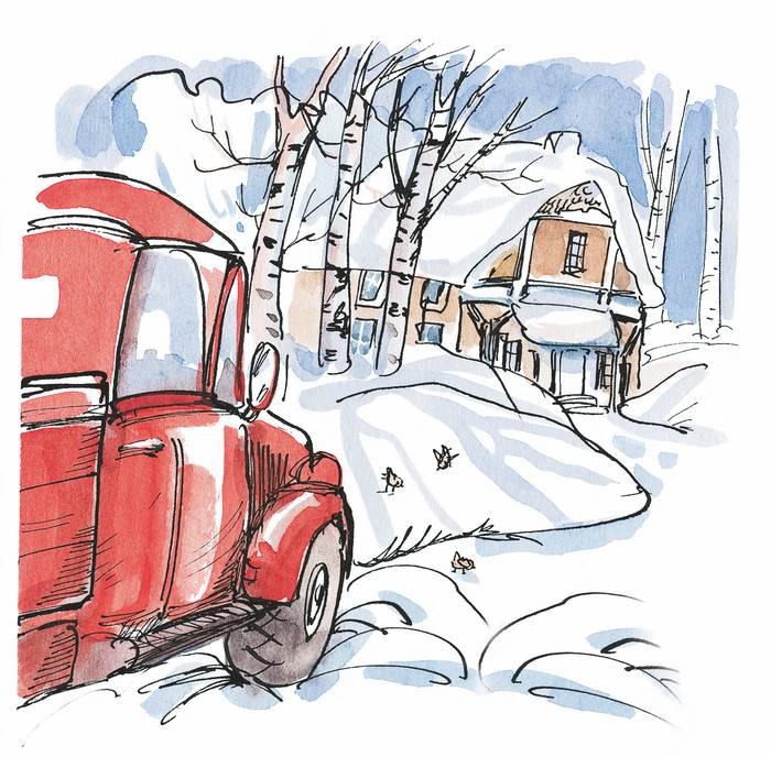 Иллюстрация к книге — Папа, мама, бабушка, восемь детей и грузовик [i_098.jpg]