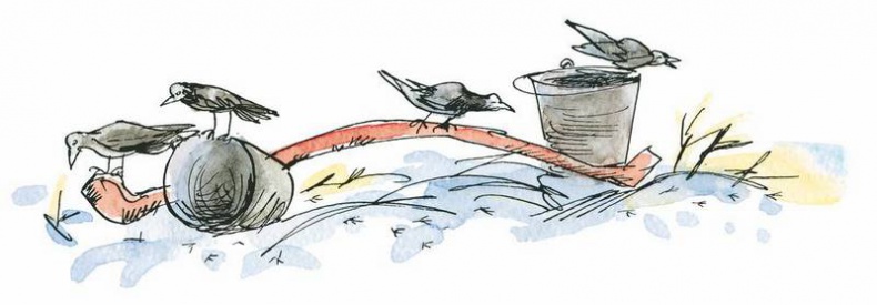 Иллюстрация к книге — Папа, мама, бабушка, восемь детей и грузовик [i_127.jpg]