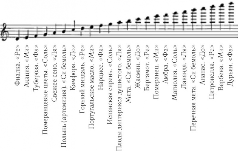 Иллюстрация к книге — Затерянный остров [i_001.jpg]
