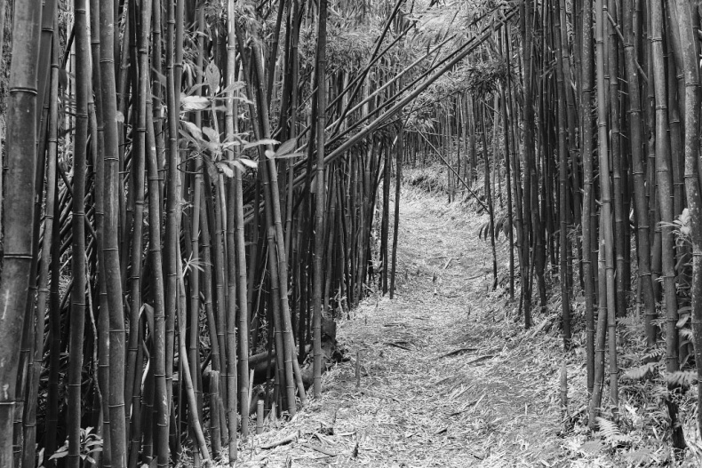 Иллюстрация к книге — Битва цивилизаций. Что грозит человечеству? [Autogen_eBook_id3.jpg]