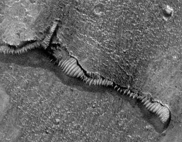 Иллюстрация к книге — Великие тайны Вселенной. От древних цивилизаций до наших дней [_19.jpg]