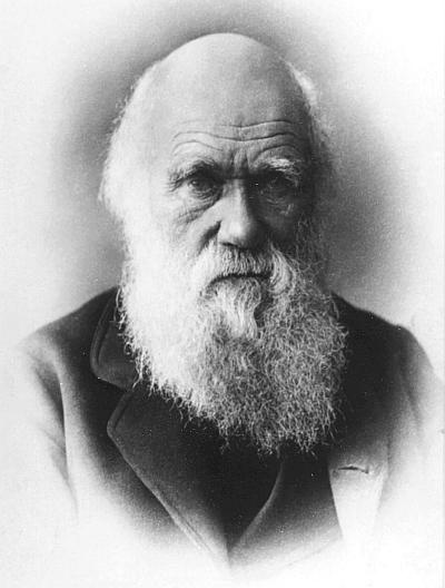 Иллюстрация к книге — Великие тайны Вселенной. От древних цивилизаций до наших дней [_25.jpg]