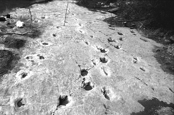 Иллюстрация к книге — Великие тайны Вселенной. От древних цивилизаций до наших дней [_35.jpg]