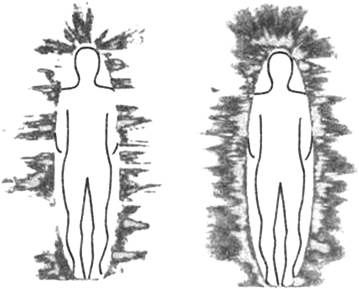 Иллюстрация к книге — Штурм сознания. Правда о манипулировании сознанием человека [i_003.jpg]