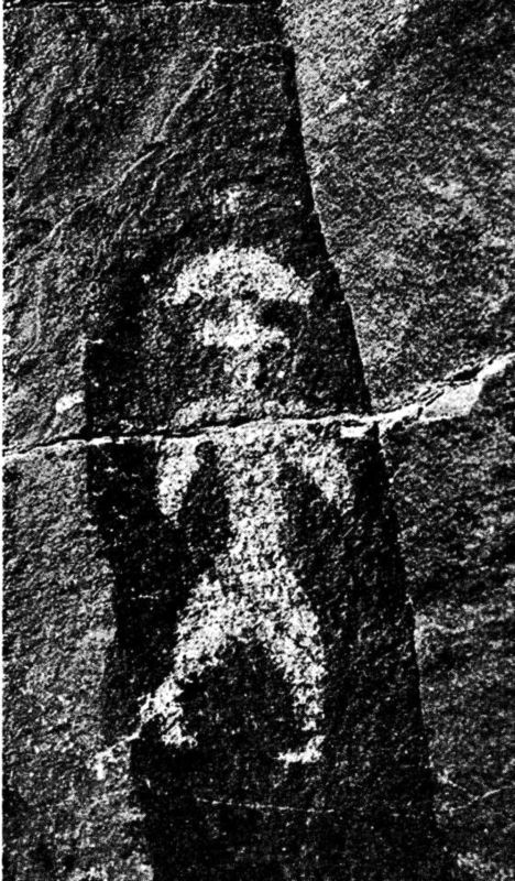 Иллюстрация к книге — Пища Богов. Секреты долголетия древних [i_003.jpg]