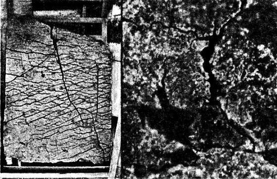 Иллюстрация к книге — Пища Богов. Секреты долголетия древних [i_006.jpg]