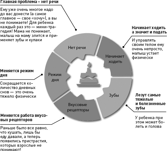 Иллюстрация к книге — Как здорово с ребенком от 1 до 3 лет. Генератор полезных советов [_019.jpg]