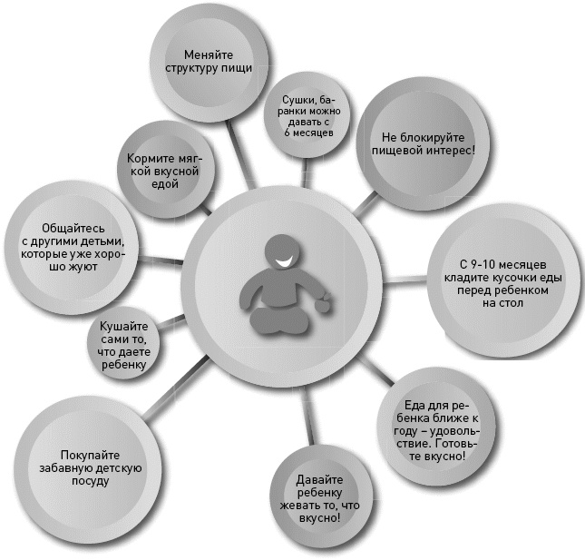 Иллюстрация к книге — Как здорово с ребенком от 1 до 3 лет. Генератор полезных советов [_054.jpg]