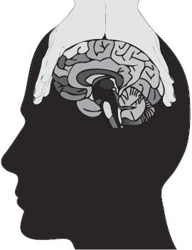 Иллюстрация к книге — Чего хотят женщины. Уроки игры на губной гармошке для мужчин [_10.jpg]