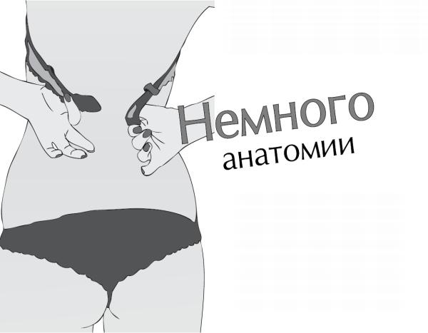 Иллюстрация к книге — Чего хотят женщины. Уроки игры на губной гармошке для мужчин [_23.jpg]