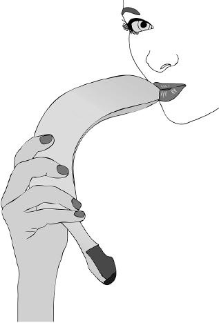 Иллюстрация к книге — Чего хотят женщины. Уроки игры на губной гармошке для мужчин [_8.jpg]