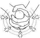 Иллюстрация к книге — Что французские женщины умеют делать в постели [_49.jpg]