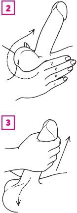 Иллюстрация к книге — Что французские женщины умеют делать в постели [_51.jpg]