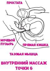 Иллюстрация к книге — Что французские женщины умеют делать в постели [_80.jpg]