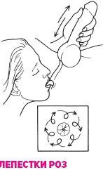 Иллюстрация к книге — Что французские женщины умеют делать в постели [_81.jpg]