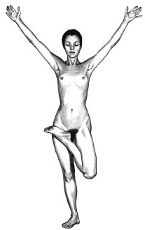 Иллюстрация к книге — Йога и сексуальные практики [i_019.jpg]